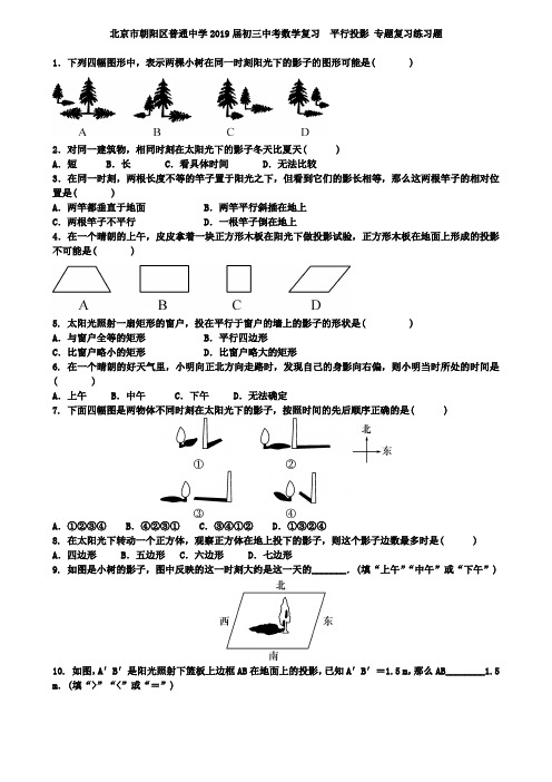 北京市朝阳区2019届中考数学复习《平行投影》专项练习含答案