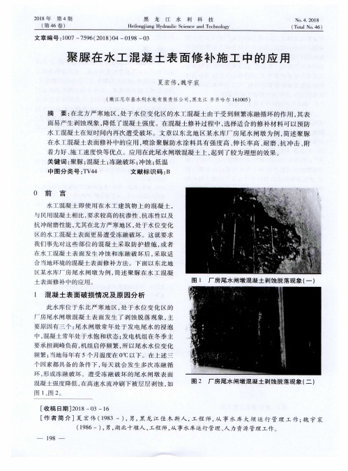 聚脲在水工混凝土表面修补施工中的应用