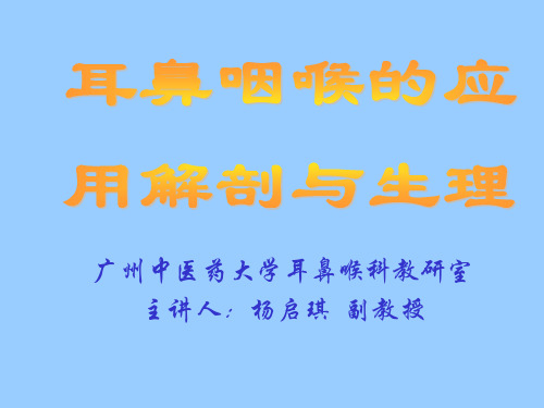 耳鼻咽喉的应用解剖与生理图解