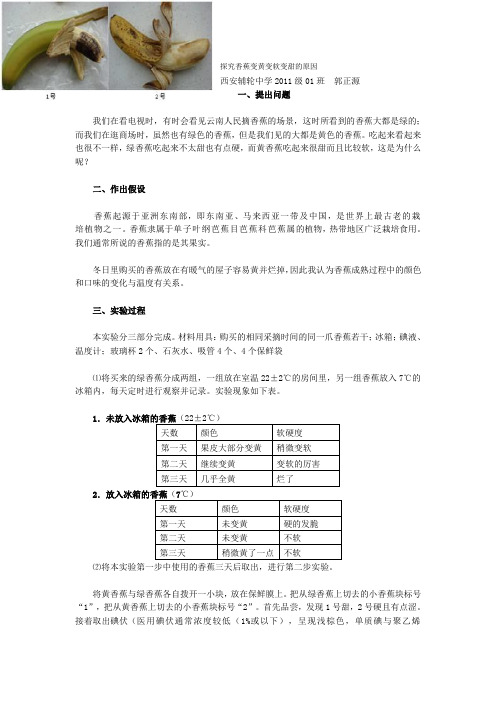 探究香蕉变黄变软变甜的原因