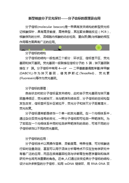 新型核酸分子荧光探针——分子信标的原理及应用