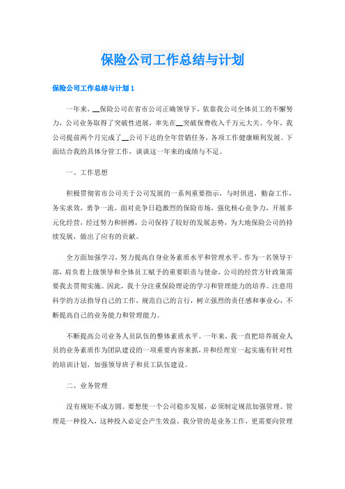 保险公司工作总结与计划