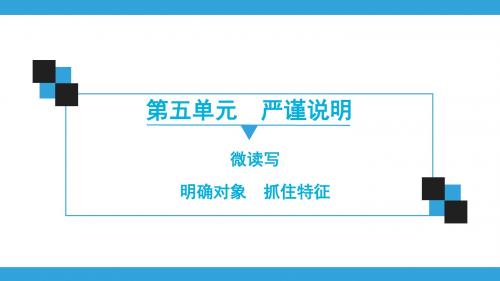 人教部编版语文八年级上册同步练习课件第5单元  作文导写