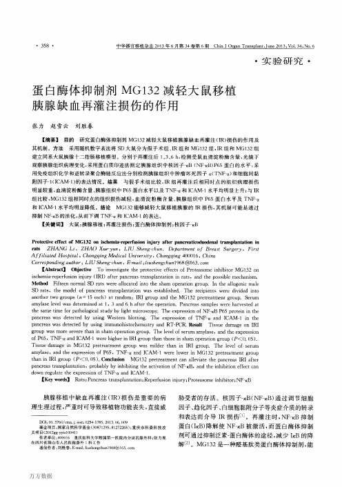 蛋白酶体抑制剂MG132减轻大鼠移植胰腺缺血再灌注损伤的作用