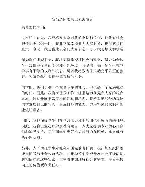 新当选团委书记表态发言