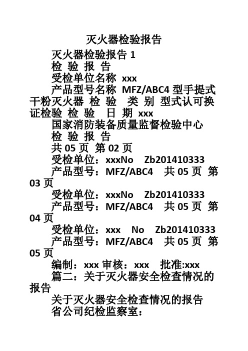 灭火器检验报告