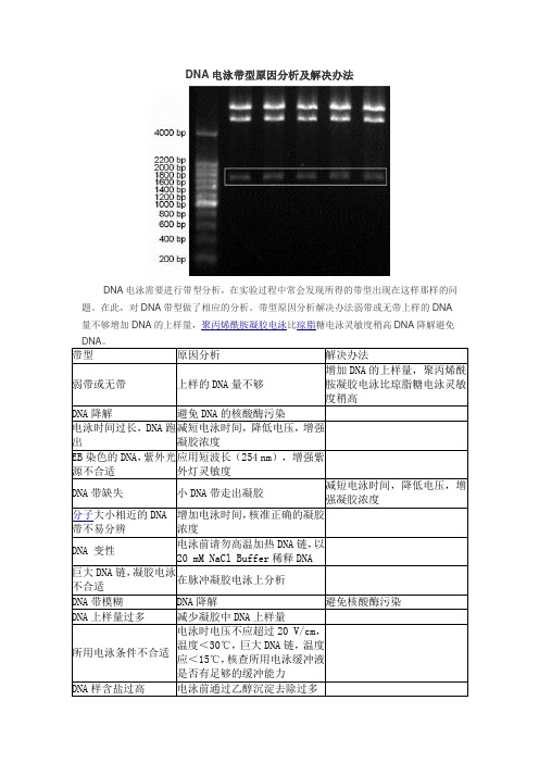 DNA电泳带型原因分析及解决办法