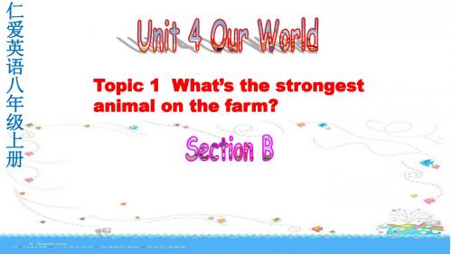 新科普版八年级英语上册《Topic 1 What's the strongest animal on the farm.  Section B》优质课课件_2