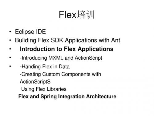 Flex开发 入门宝典 + 实例