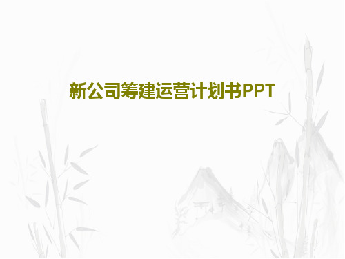 新公司筹建运营计划书PPT共111页文档