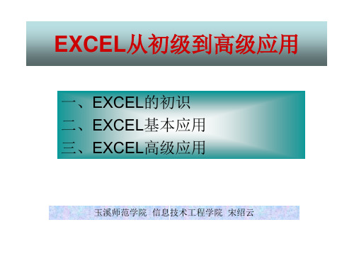 EXCEL从初级到高级应用