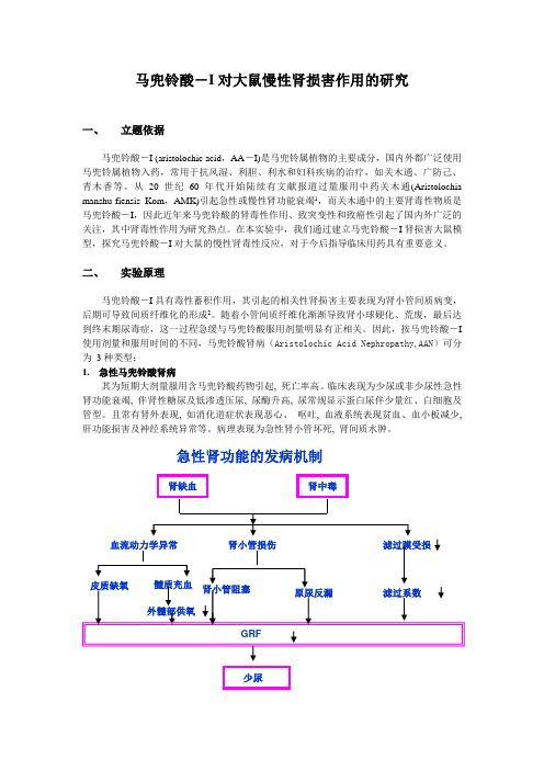 马兜铃酸