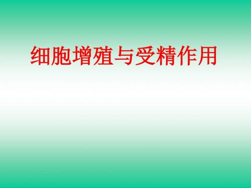 人教版高中生物《细胞增殖与受精作用》精品课件