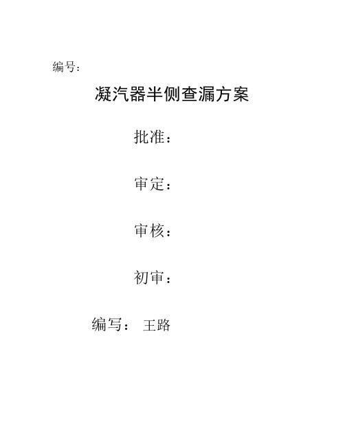 凝汽器水侧半侧查漏方案