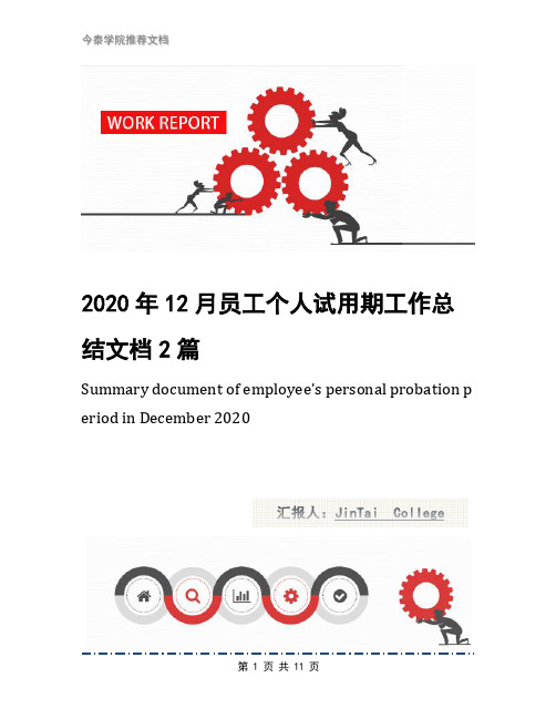 2020年12月员工个人试用期工作总结文档2篇