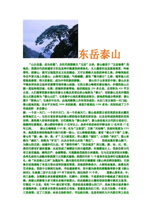 东岳泰山资料