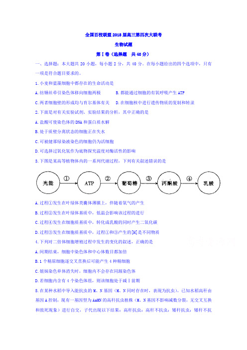 全国百校联盟2018届高三第四次大联考生物试题  含答案 精品