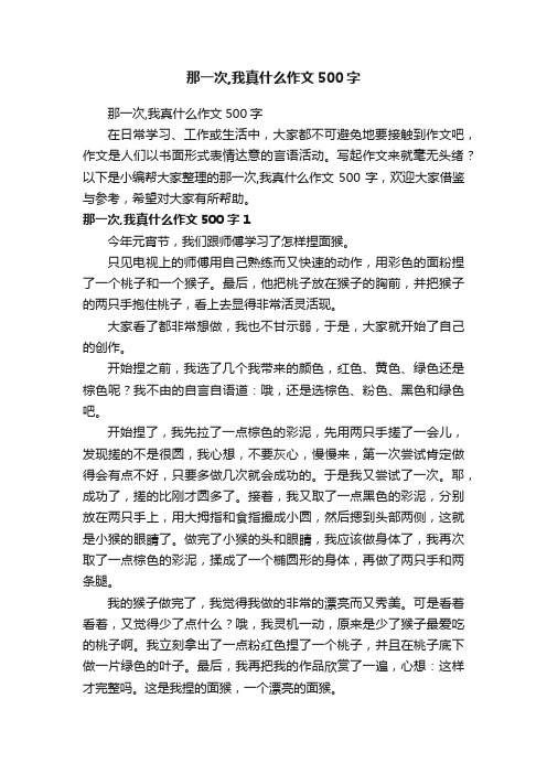 那一次,我真什么作文500字