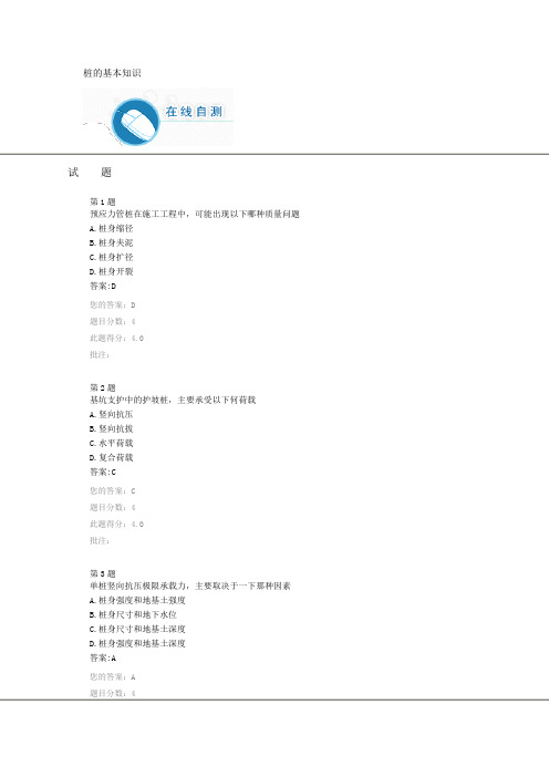 2023年桩的基本知识公路水运试验检测人员继续教育