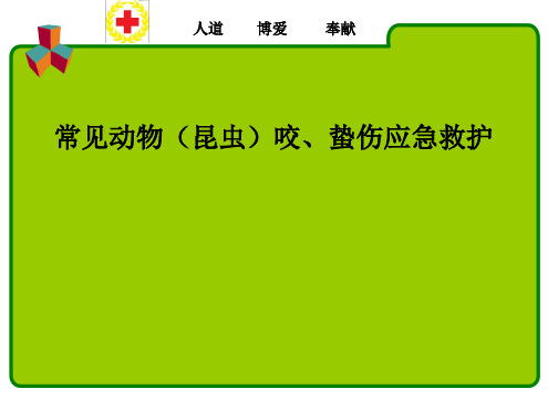 常见动物咬蛰伤应急救护ppt课件