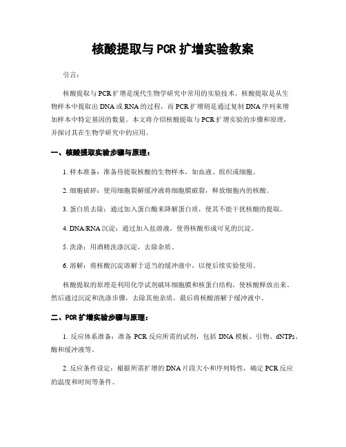 核酸提取与PCR扩增实验教案