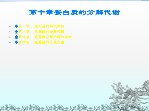 生物化学---蛋白质分解代谢