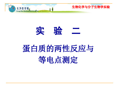 实验二蛋白质的两性反应与等电点测定