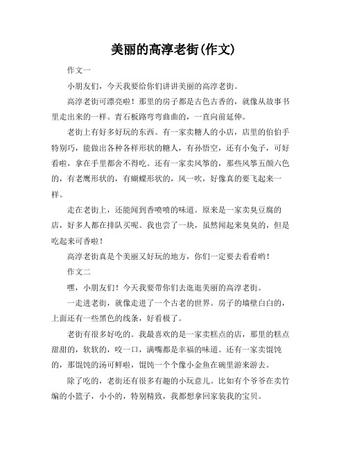 美丽的高淳老街(作文)