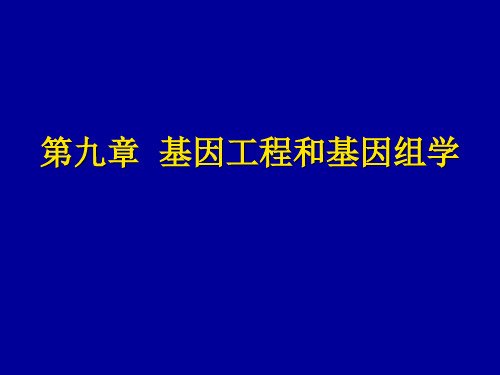 中国农业大学遗传学 09 基因工程和基因组学