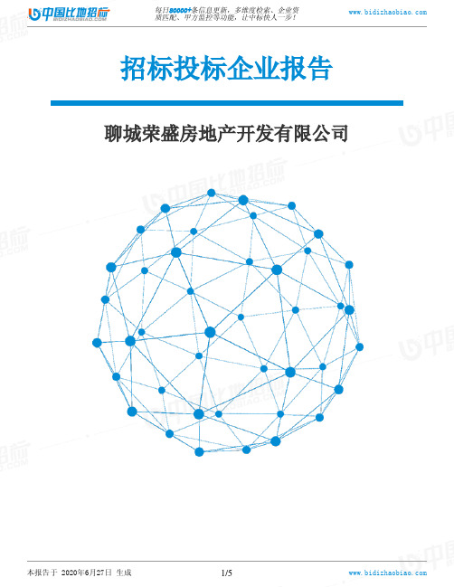 聊城荣盛房地产开发有限公司-招投标数据分析报告