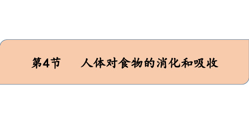 苏科版七上生物课件3.5.4食物的消化与吸收  15张PPT