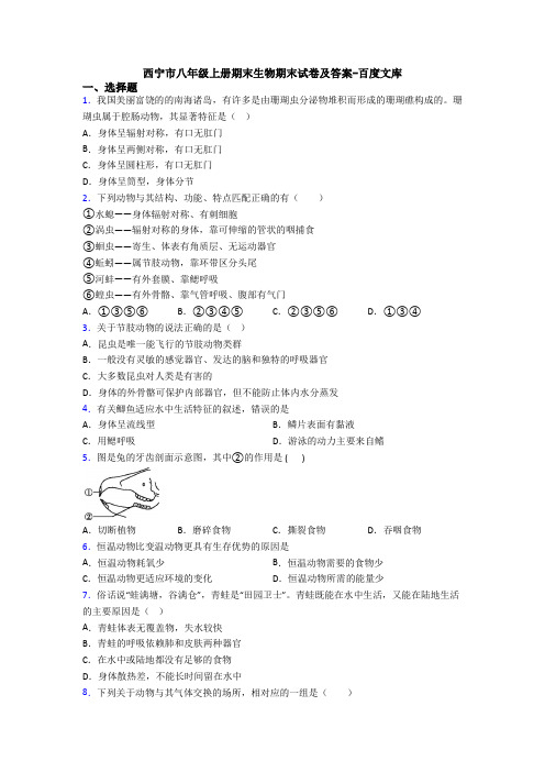 西宁市八年级上册期末生物期末试卷及答案-百度文库