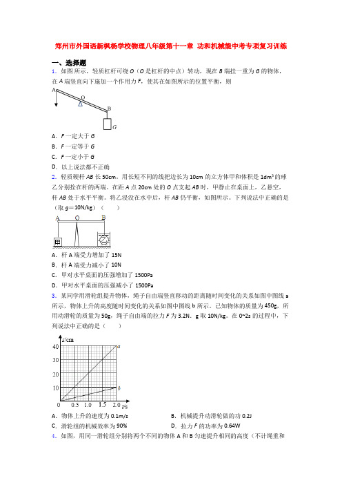 郑州市外国语新枫杨学校物理八年级第十一章 功和机械能中考专项复习训练