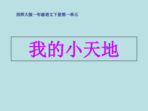 西师大版一年级下语文：识字(1)《我的小天地》ppt