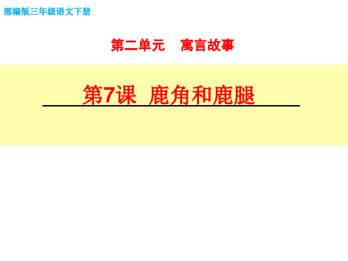 鹿角和鹿腿PPT课件
