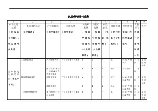 风险管理计划表