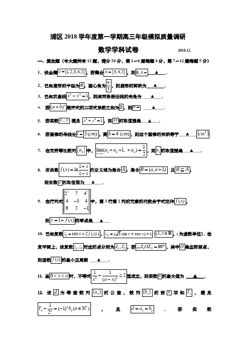 上海市杨浦区2019届高三一模数学卷word版(附详细答案)