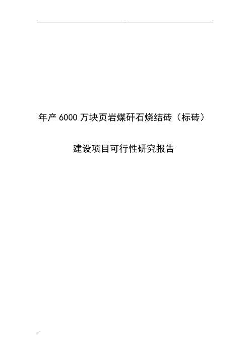 年产6000万块页岩煤矸石烧结砖(标砖)建设项目可行性研究报告