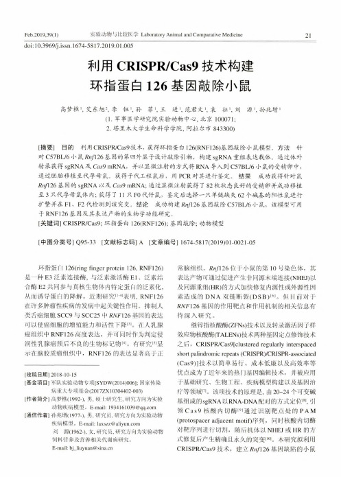 利用CRISPRCas9技术构建环指蛋白126基因敲除小鼠