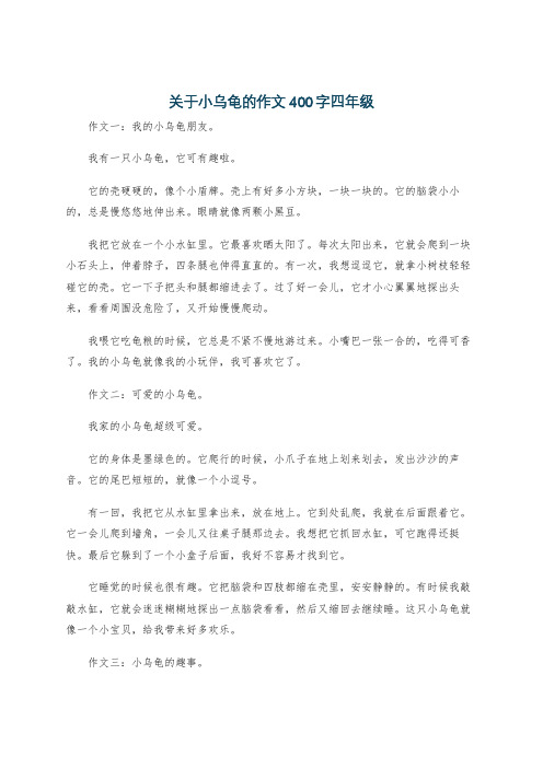 关于小乌龟的作文400字四年级