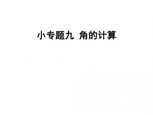 人教版七年级上册数学习题课件：专题九  角的计算(共24张PPT)