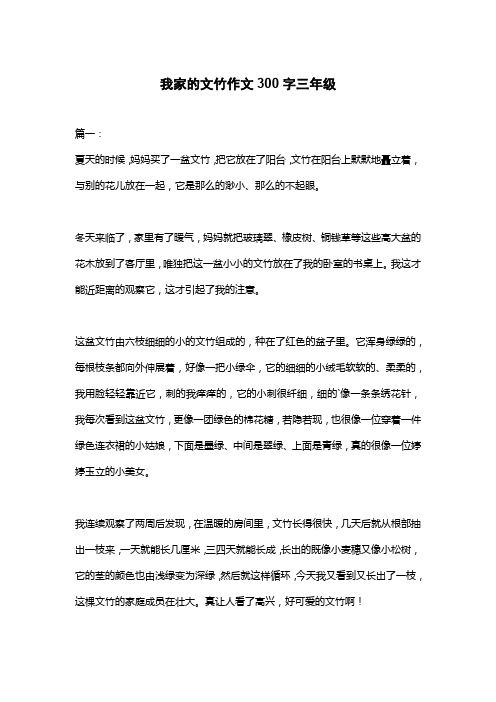 我家的文竹作文300字三年级