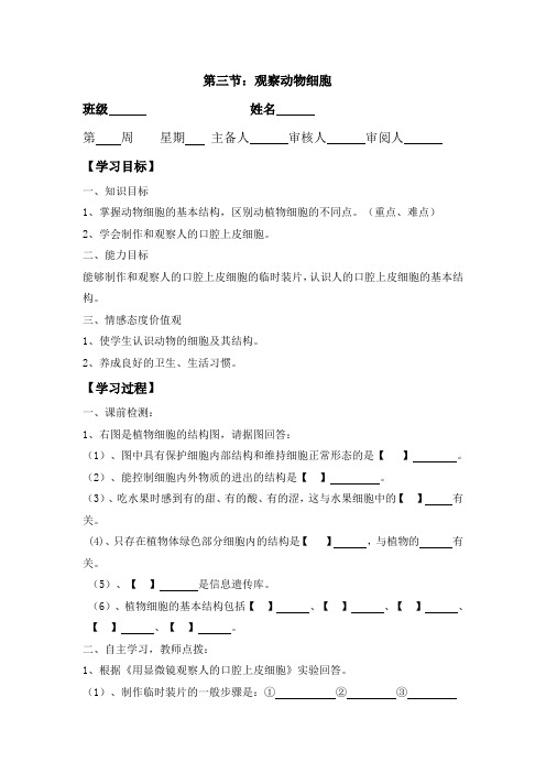 七年级生物上册第二单元第一章第三节观察动物细胞导学案人教新课标版