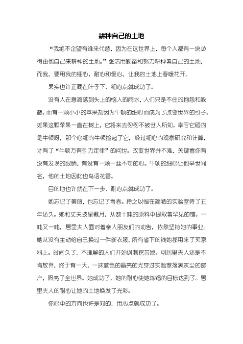高三作文:耕种自己的土地作文800字_5