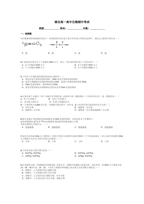 湖北高一高中生物期中考试带答案解析
