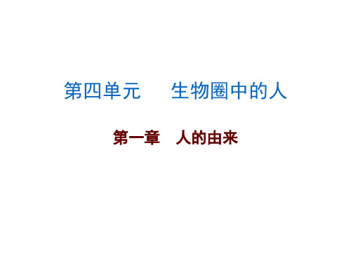 广东中考总复习初中生物中考复习课件 第4单元第一章