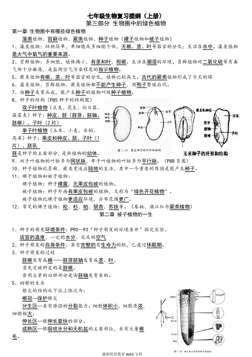 第三单元生物圈中的绿色植物复习提纲