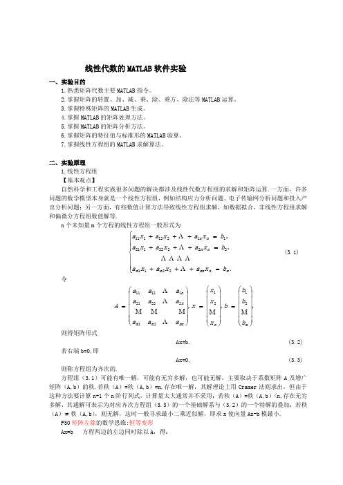 线性代数的MATLAB软件实验报告