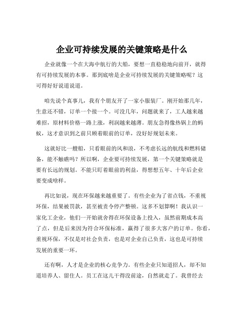 企业可持续发展的关键策略是什么