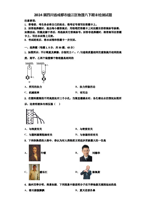 2024届四川省成都市锦江区物理八下期末检测试题含解析